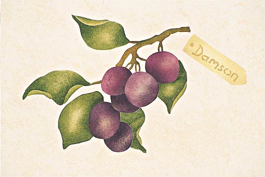 #420 Damson Stencil