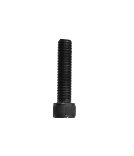 Crank Arm Screw