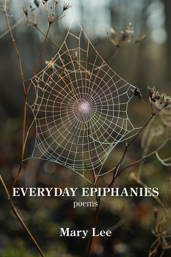 Everyday Epiphanies
