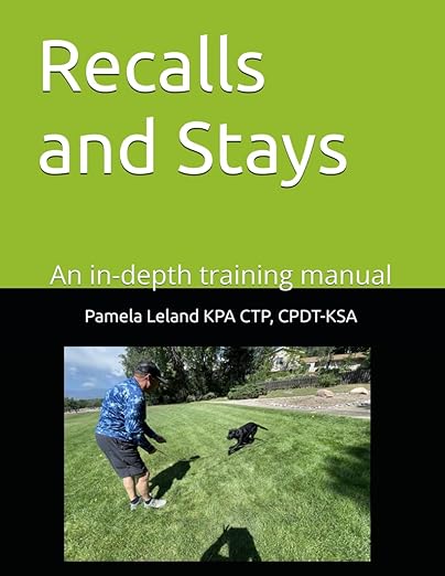 Recalls and Stays - Pamela Leland
