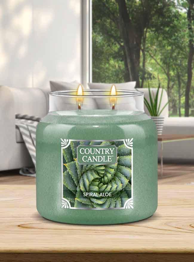 Spiral Aloe Medium 2-wick - Kringle Candle Company