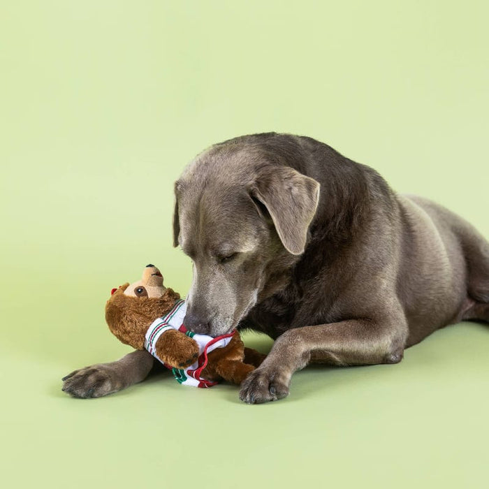 Petshop by Fringe Studio dog toys You Had Me At Hola Fiesta Sloth Plush Squeaky Dog Toy