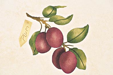 #416 Plum Stencil