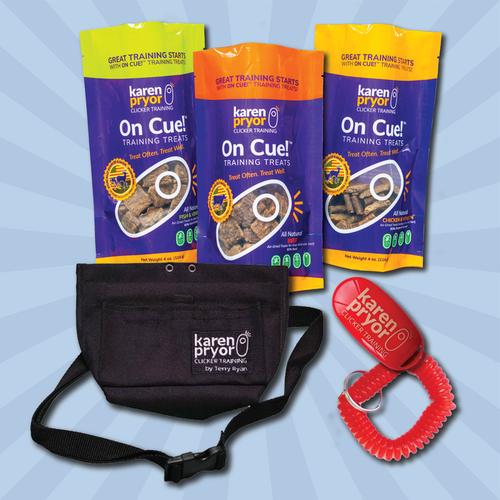 All-in-One Training Bundle