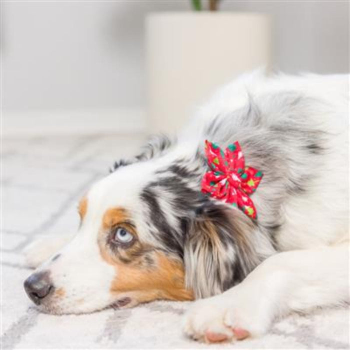 Huxley & Kent Bow Tie LG Christmas Trees Pinwheel Holiday Pet Collar Attachment