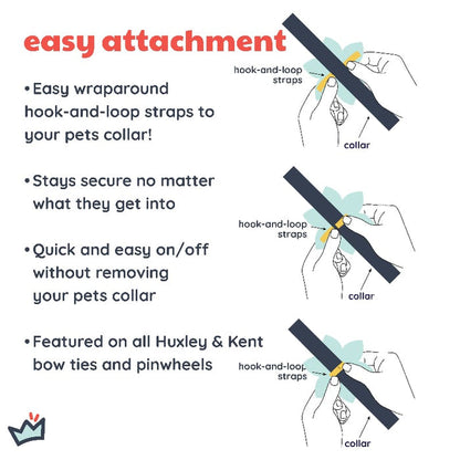 Huxley & Kent Bow Tie Merry & Bright Pinwheel Holiday Pet Collar Attachment - 2 Sizes