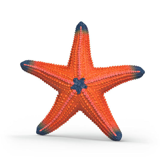 Color Changing Starfish
