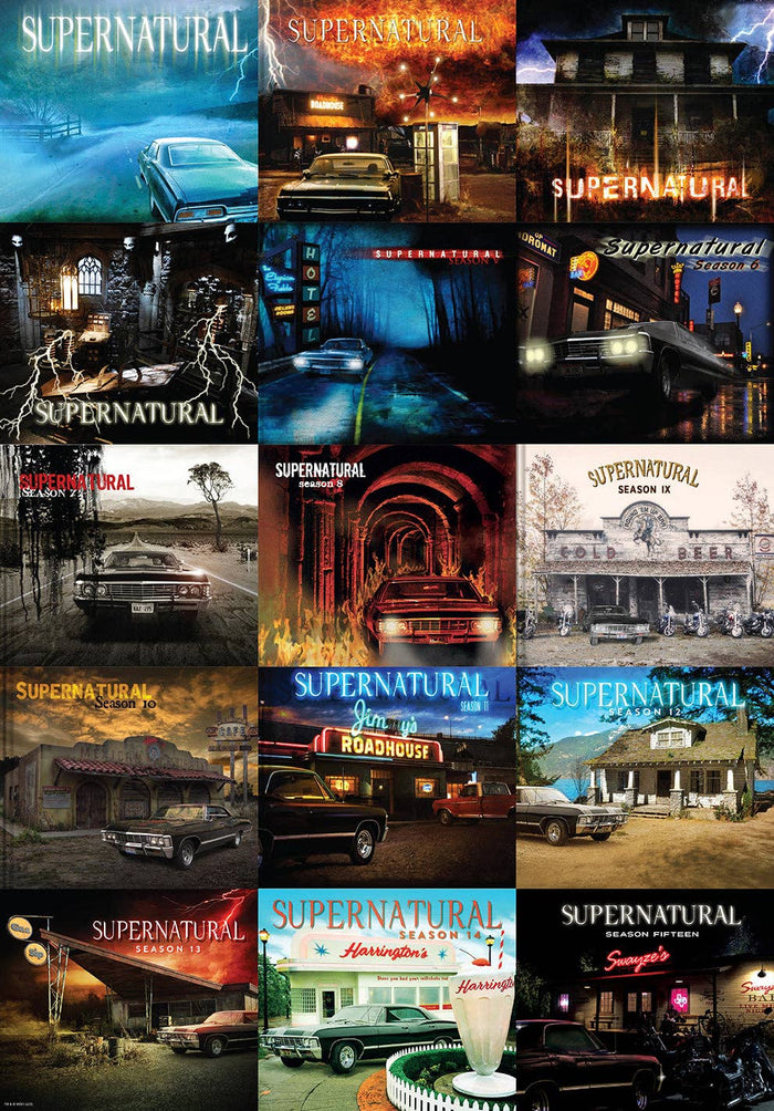 Essential Supernatural - Puzzle and Book Set