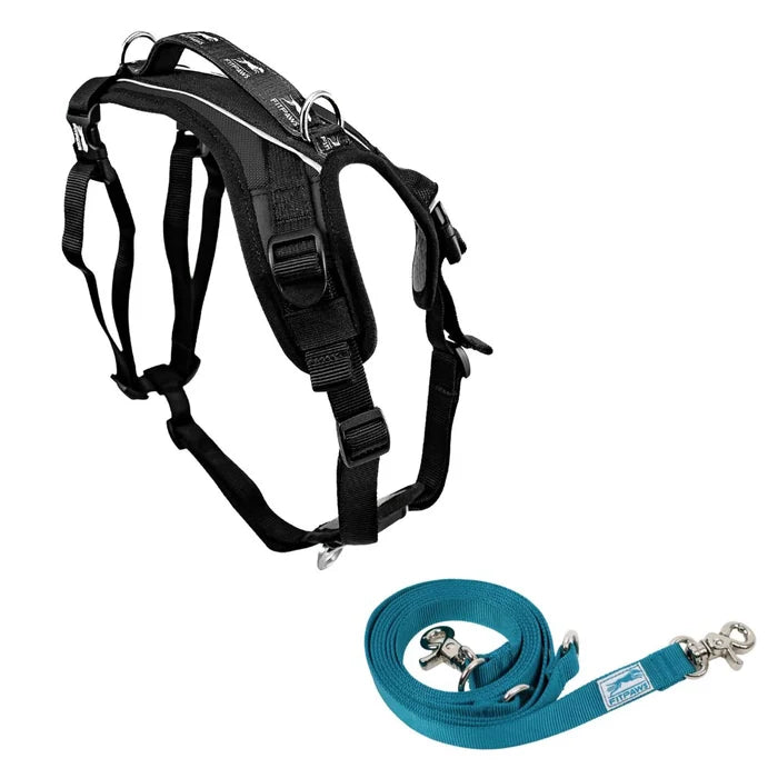 FitPaws® Made to Move Harness + Leash