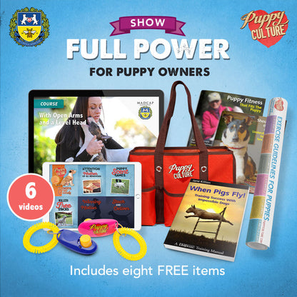 Full Power of Puppy Culture for Show Puppy Owners