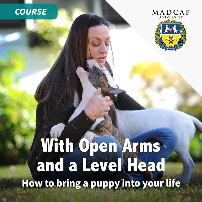 Full Power of Puppy Culture for Show Puppy Owners