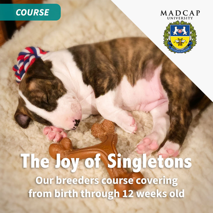 Fundamentals with a Singleton