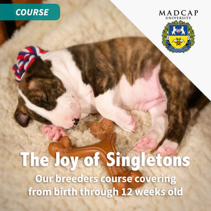 Fundamentals with a Singleton