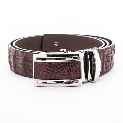 Genuine crocodile leather belt in brown with polished automatic buckle front view