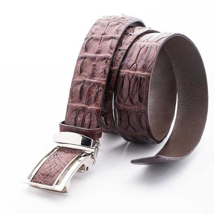 Exotic crocodile leather belt coiled showing natural scale texture and buckle