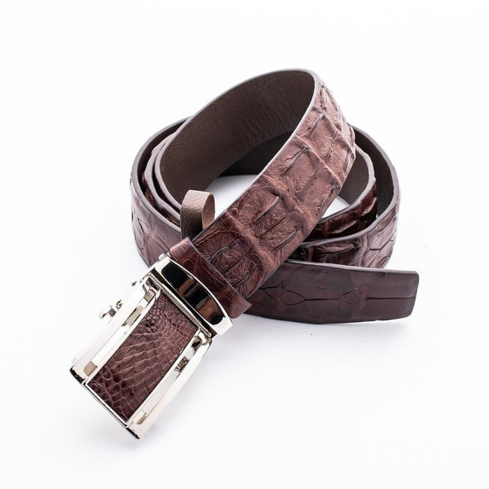 Brown genuine crocodile belt loosely arranged showing full length and buckle