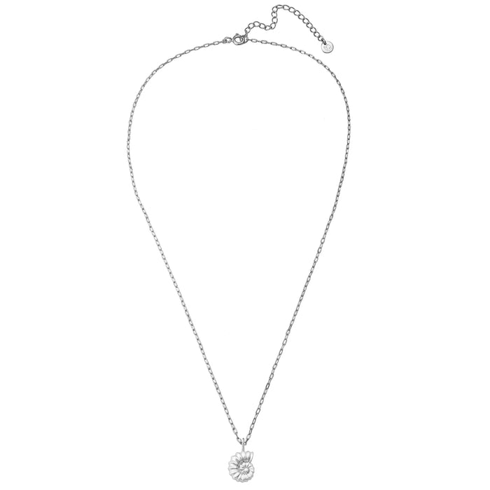 Gliederkette mit Anhänger Muschel