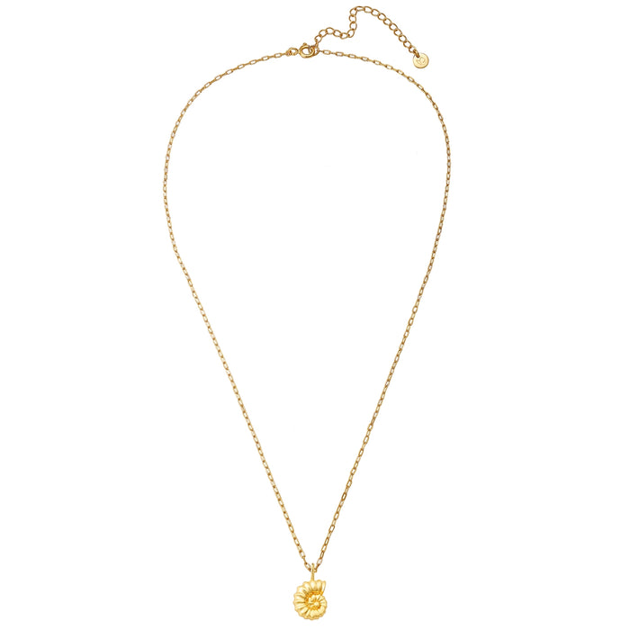 Goldene Gliederkette mit Anhänger Muschel