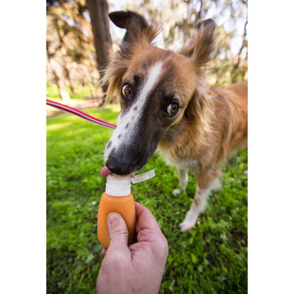 GoToob Squeezable Treat-Dispensing Toob
