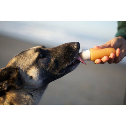 GoToob Squeezable Treat-Dispensing Toob