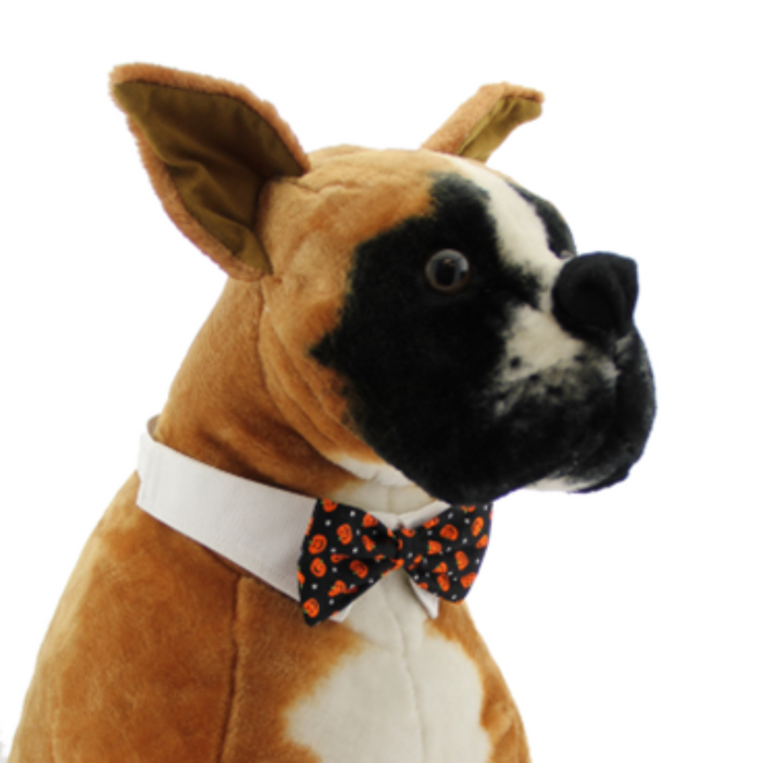 Halloween Black Jack-O-Lantern Pumpkins Fall Season Dog Bow Tie Collar - 2 Sizes