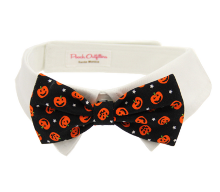 Halloween Black Jack-O-Lantern Pumpkins Fall Season Dog Bow Tie Collar - 2 Sizes