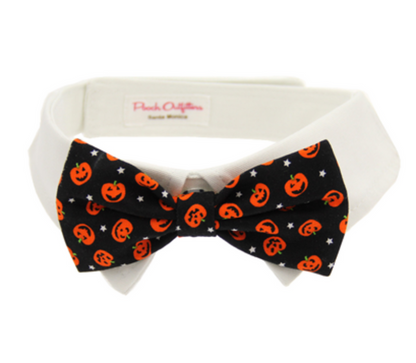 Halloween Black Jack-O-Lantern Pumpkins Fall Season Dog Bow Tie Collar - 2 Sizes