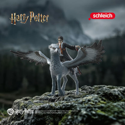 Harry on Buckbeak™