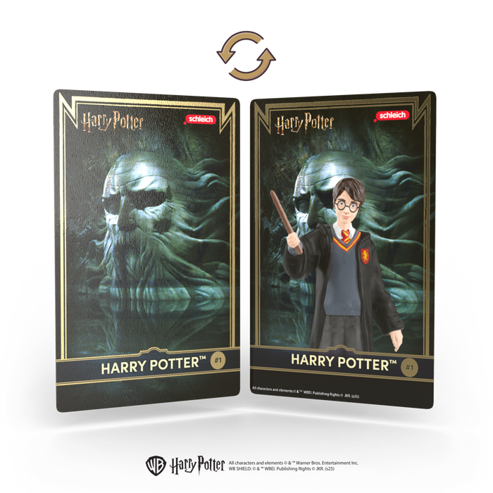 Harry Potter Mini Collectible