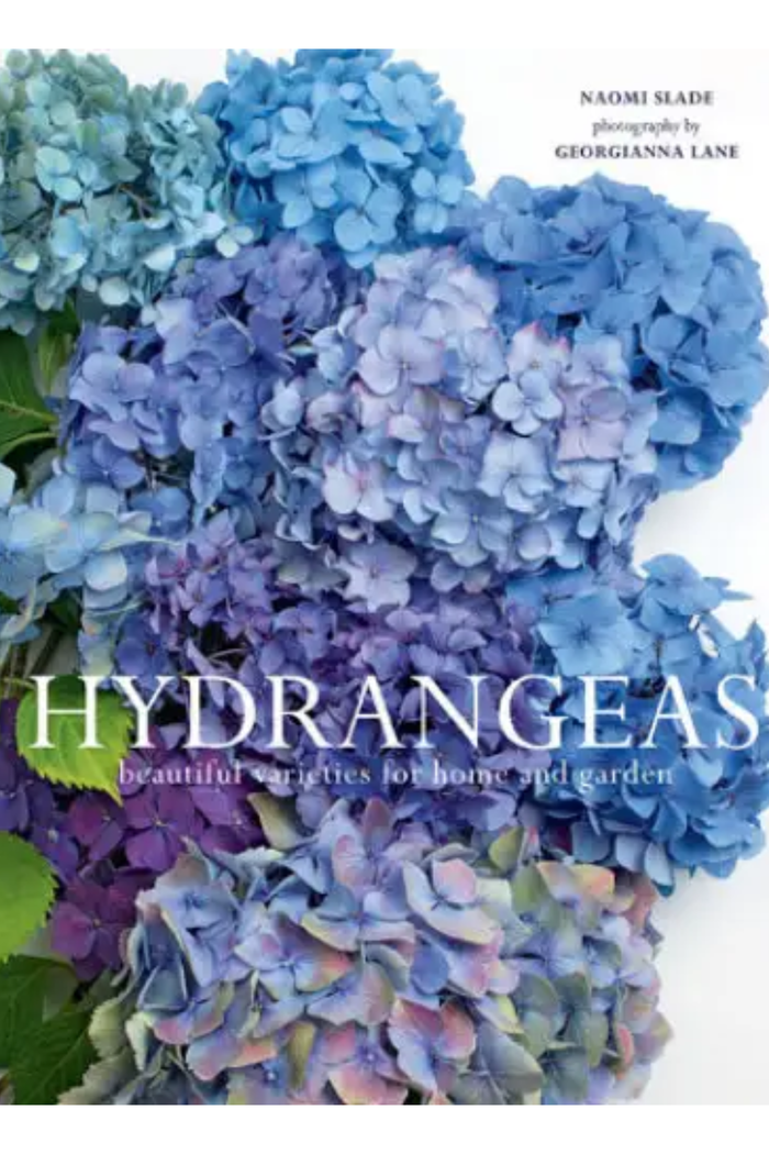 Hydrangeas
