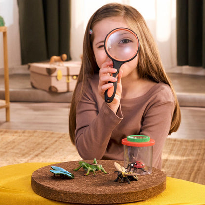 Insects discovery set