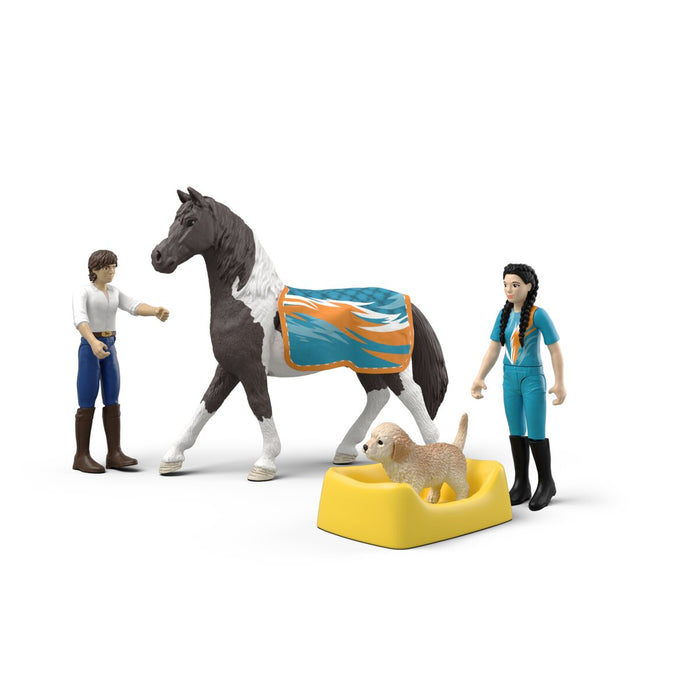 Kim's Vaulting Set