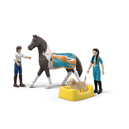 Kim's Vaulting Set