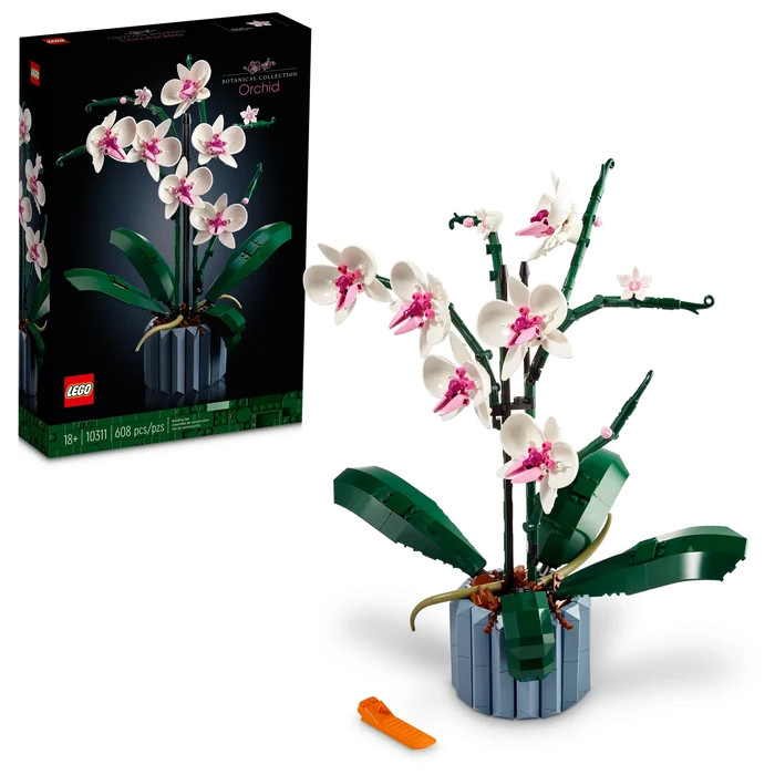 Orchid