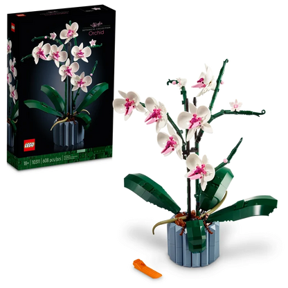 Orchid