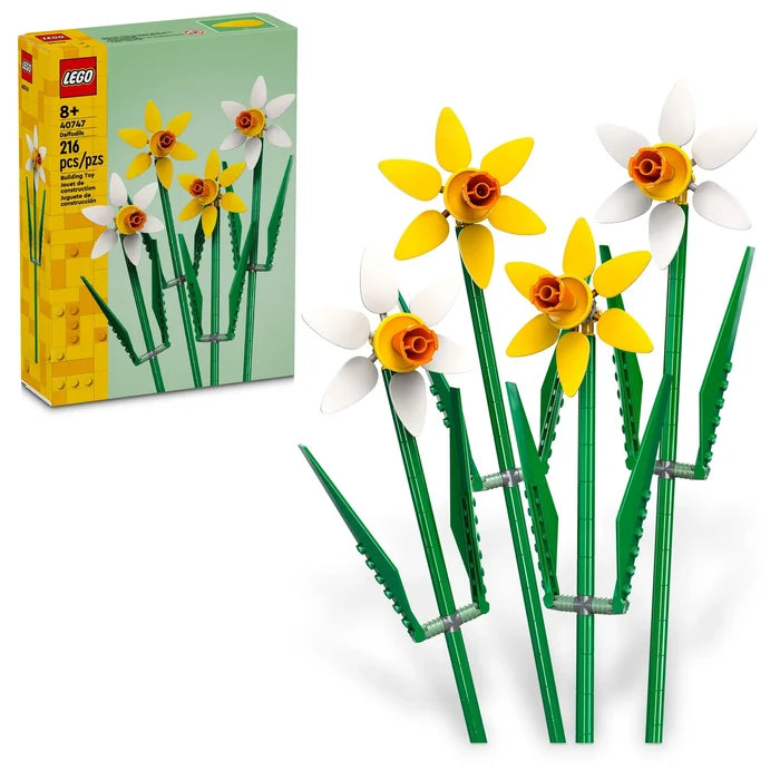 Daffodil