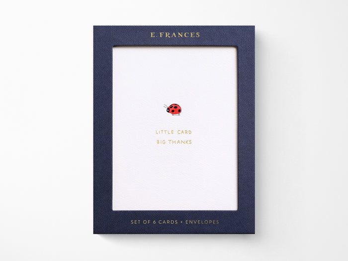 Little Card Big Thanks Greeting Cards Box of 6