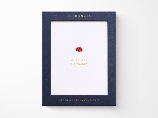 Little Card Big Thanks Greeting Cards Box of 6