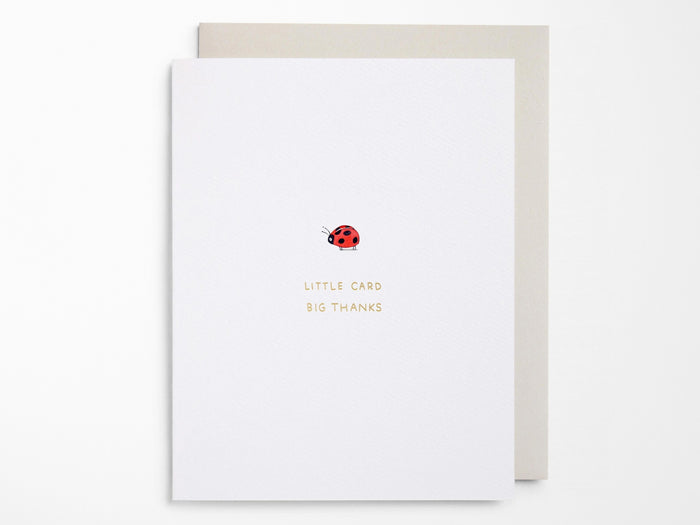 Little Card Big Thanks Greeting Cards Box of 6
