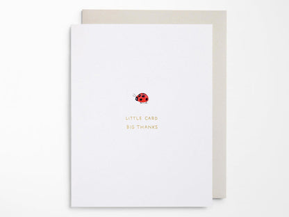 Little Card Big Thanks Greeting Cards Box of 6