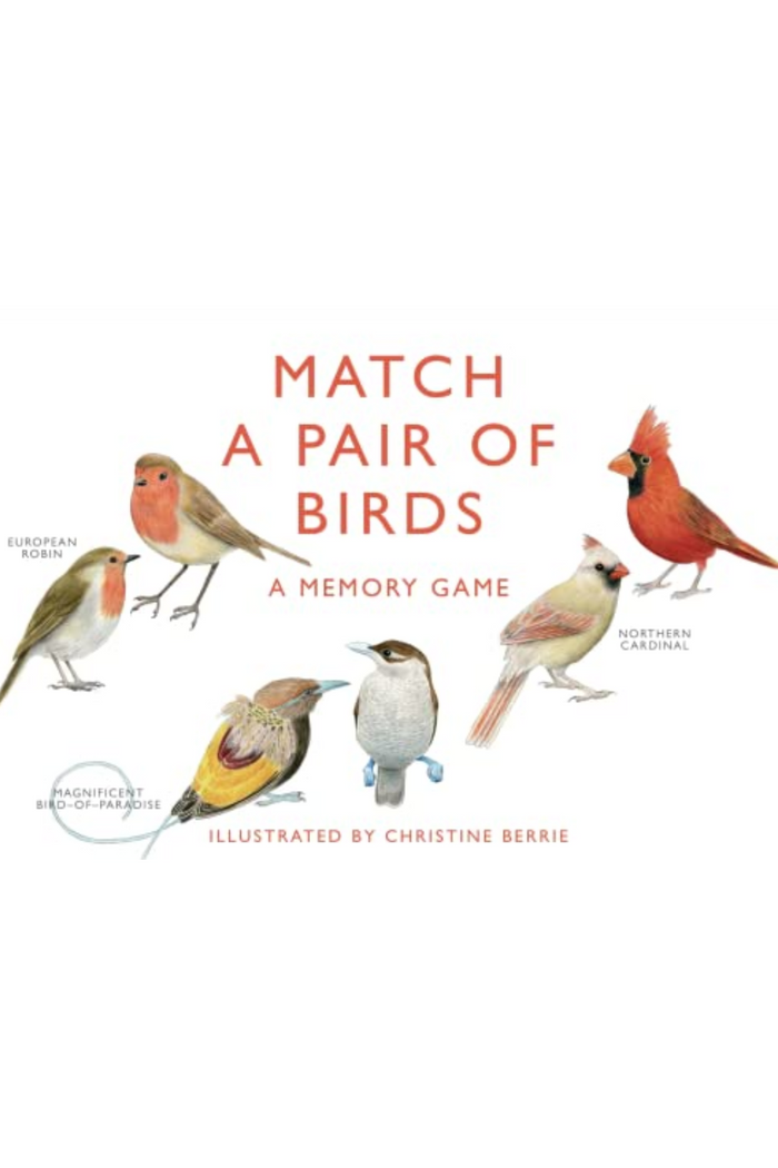 Match A Pair Of Birds: A Memory Game