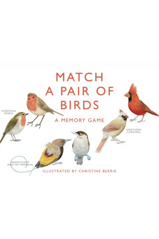 Match A Pair Of Birds: A Memory Game