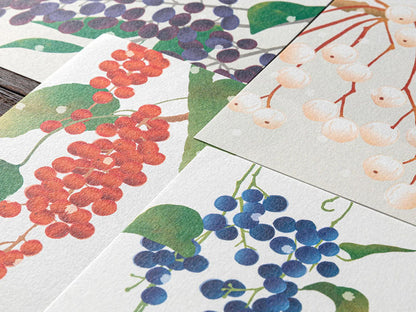 Midori Seasonal Letter Pad - 000 Winter Fruit - Four Designs