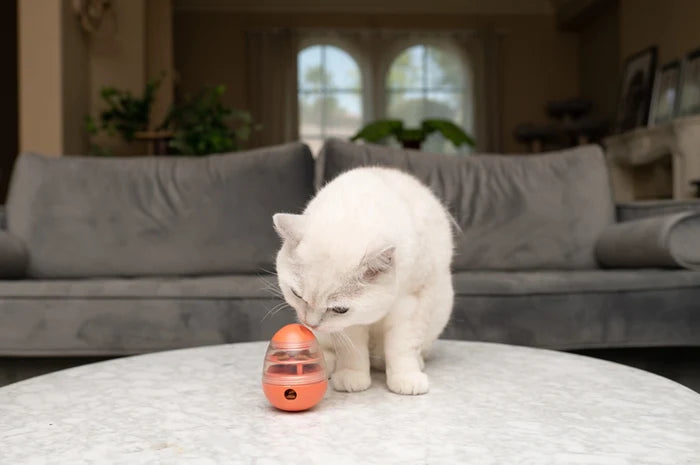 Nala Cat Toy Wobble Treat Dispenser