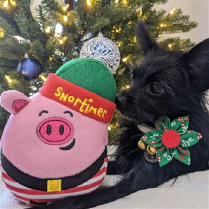 Huxley & Kent Bow Tie Naughty & Nice Pinwheel Holiday Pet Collar Attachment - 2 Sizes