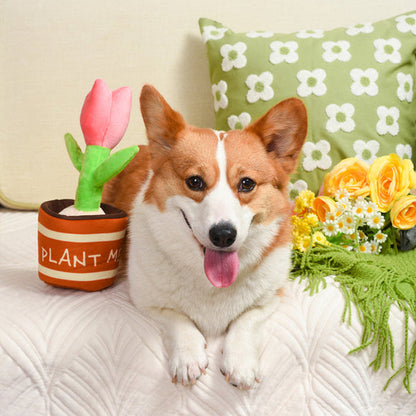 Puppy Garden Tulip 2 in 1 Plush Squeaky Dog Toy Set