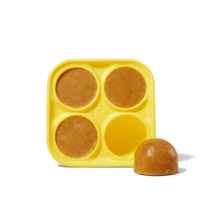 Pupsicle - Treat Tray - Extra Large