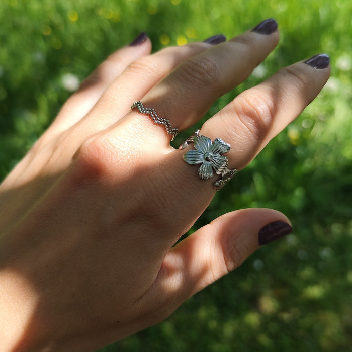 Ring 'Lebensweg'