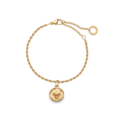 Set Taurus Charm und Armkette Gold
