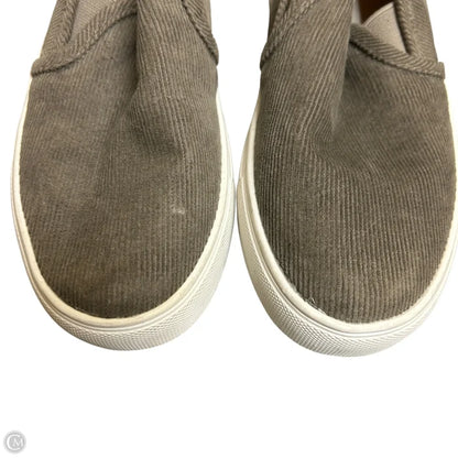 Shoes Sneakers By Steve Madden In Grey, Size: 6